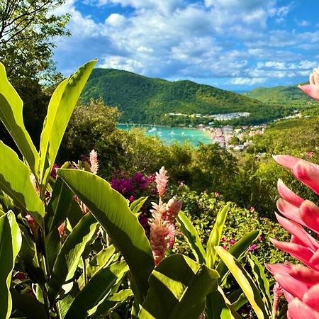 Au Jardin Des Colibris Ecolodge&Spa Deshaies Eksteriør billede