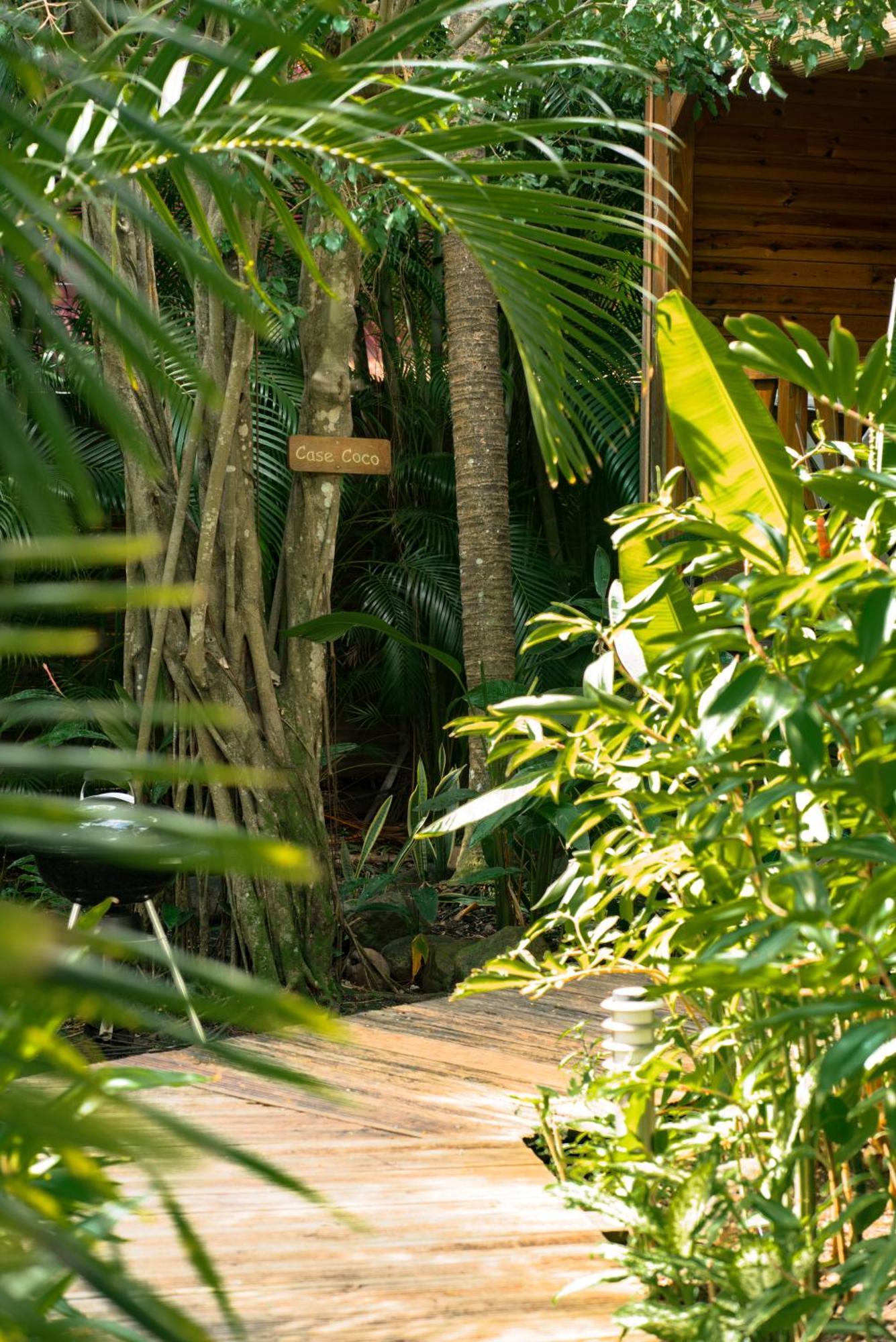 Au Jardin Des Colibris Ecolodge&Spa Deshaies Eksteriør billede