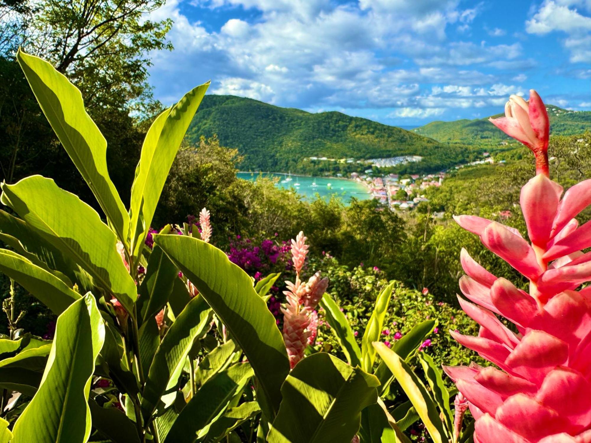 Au Jardin Des Colibris Ecolodge&Spa Deshaies Eksteriør billede